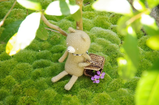 ネコちゃんピクニック