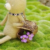 猫ちゃんのピクニック